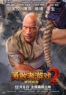 《风情万种野玫瑰》主视觉